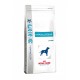 ROYAL CANIN DOG HYPOALLERGENIC 